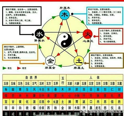 金木水火土 查詢|五行查询